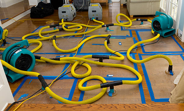 Professional Basement Flood Cleanup technician working in Monterey, CA